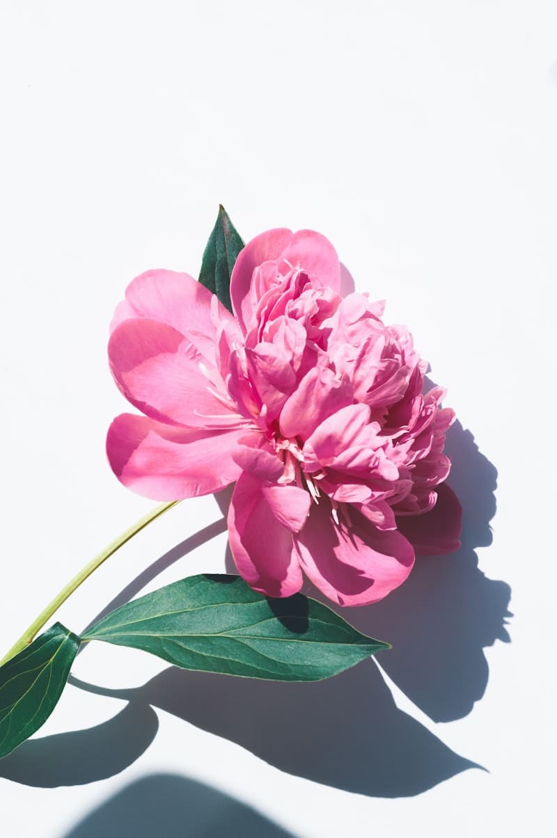Smart Ways to Save Money on Flowers & Decor